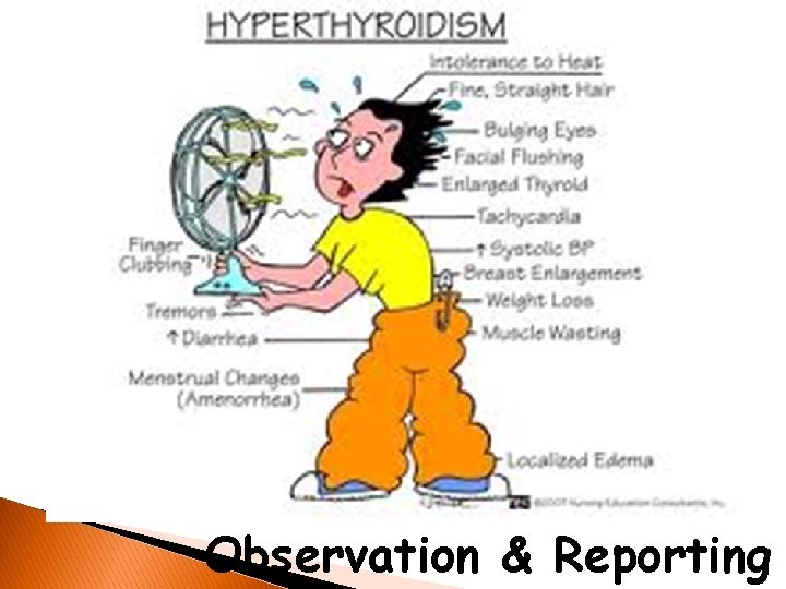 Observation & Reporting 