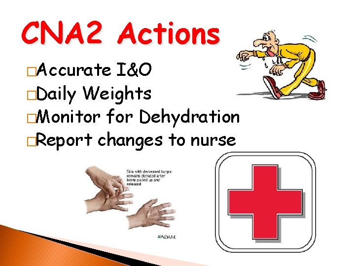 CNA 2 Actions �Accurate I&O �Daily Weights �Monitor for Dehydration �Report changes to nurse