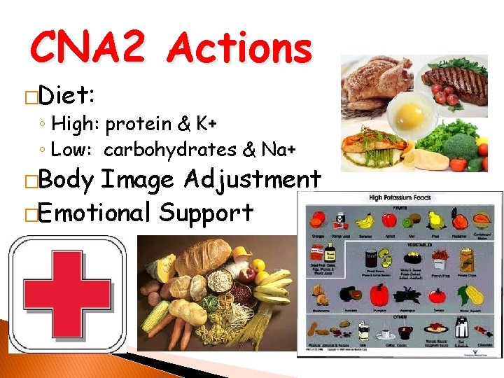 CNA 2 Actions �Diet: ◦ High: protein & K+ ◦ Low: carbohydrates & Na+