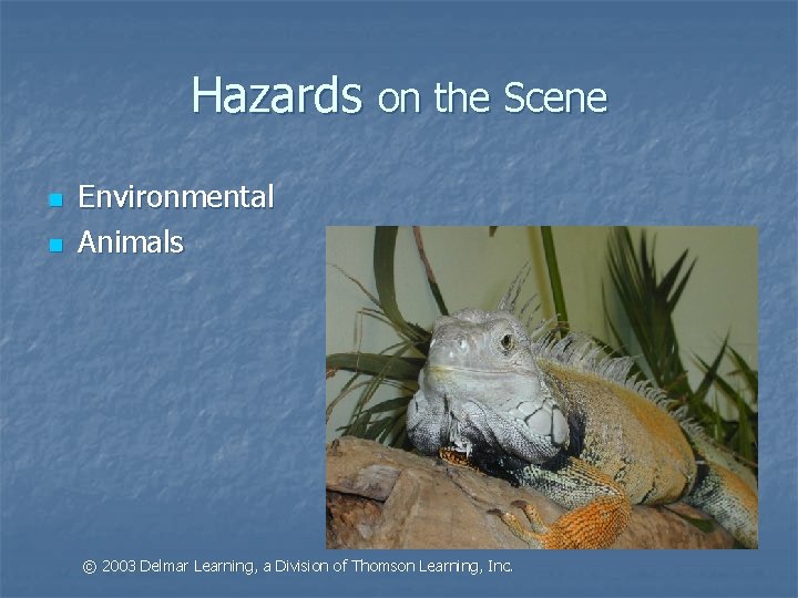 Hazards on the Scene n n Environmental Animals © 2003 Delmar Learning, a Division