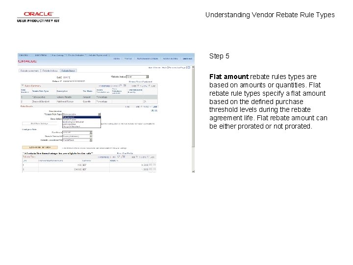 Understanding Vendor Rebate Rule Types Step 5 Flat amount rebate rules types are based