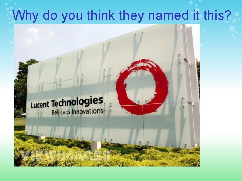 Why do you think they named it this? 