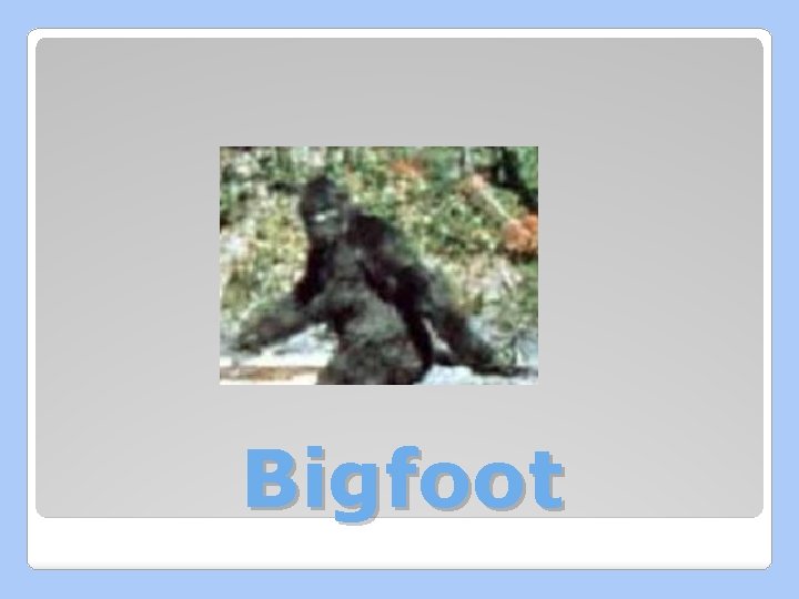 Bigfoot 
