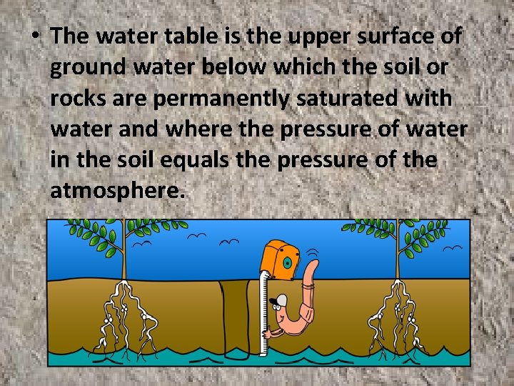  • The water table is the upper surface of ground water below which