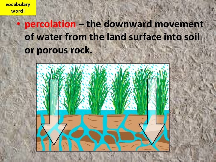 vocabulary word! • percolation – the downward movement of water from the land surface