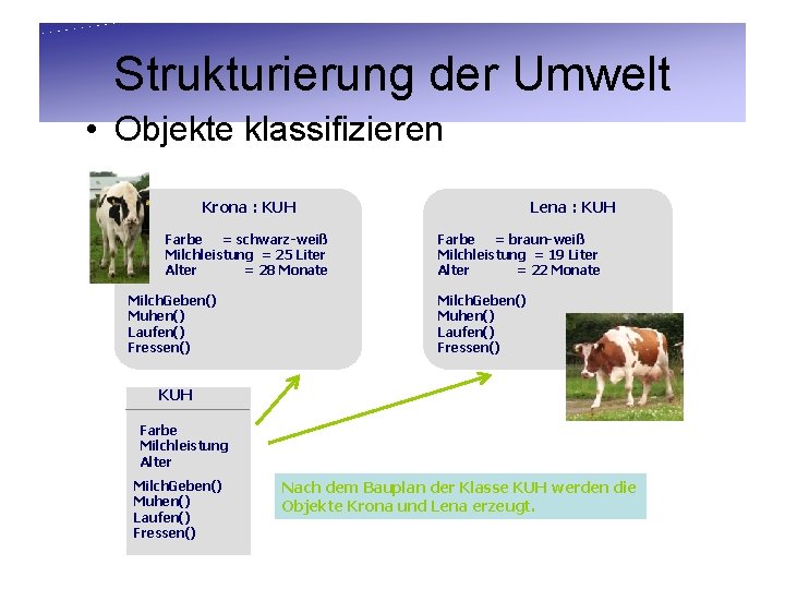 Strukturierung der Umwelt • Objekte klassifizieren Krona : KUH Farbe = schwarz-weiß Milchleistung =