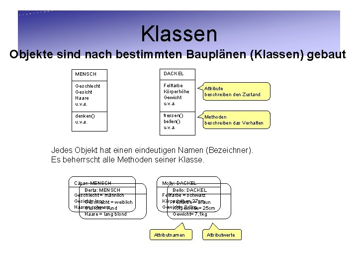 Klassen Objekte sind nach bestimmten Bauplänen (Klassen) gebaut MENSCH DACKEL Geschlecht Gesicht Haare u.