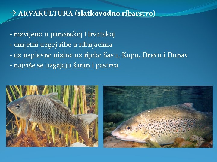  AKVAKULTURA (slatkovodno ribarstvo) - razvijeno u panonskoj Hrvatskoj - umjetni uzgoj ribe u