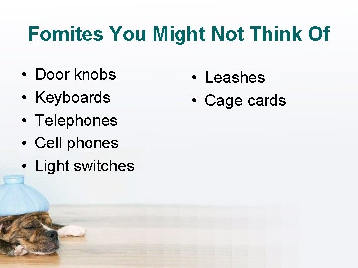 Fomites You Might Not Think Of • • • Door knobs Keyboards Telephones Cell