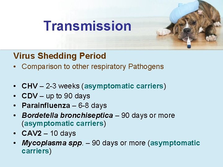 Transmission Virus Shedding Period • Comparison to other respiratory Pathogens • • CHV –