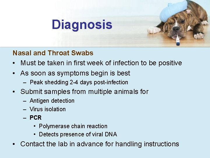 Diagnosis Nasal and Throat Swabs • Must be taken in first week of infection