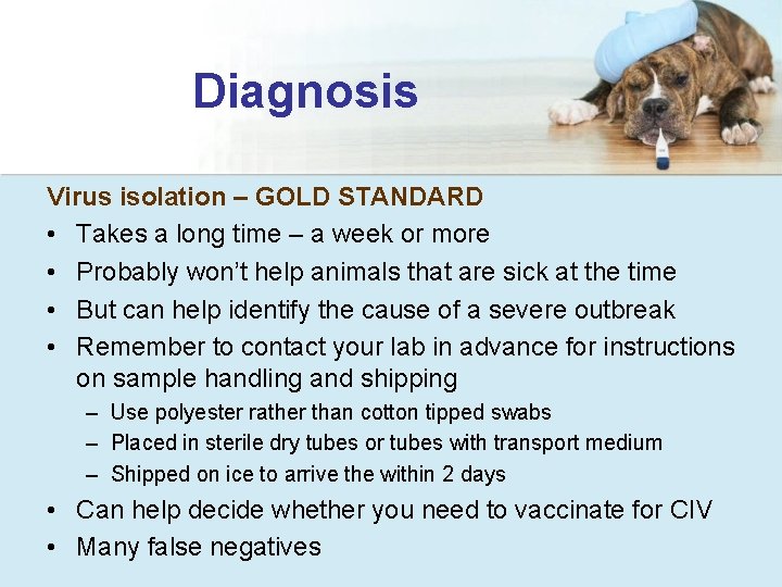Diagnosis Virus isolation – GOLD STANDARD • Takes a long time – a week