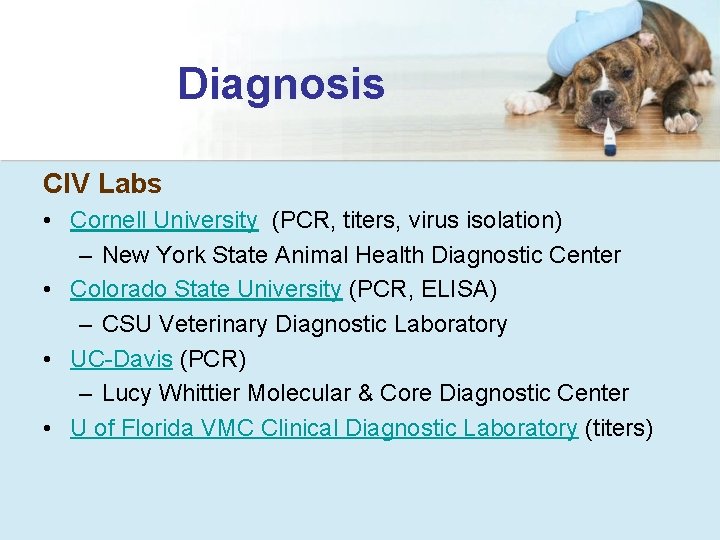 Diagnosis CIV Labs • Cornell University (PCR, titers, virus isolation) – New York State