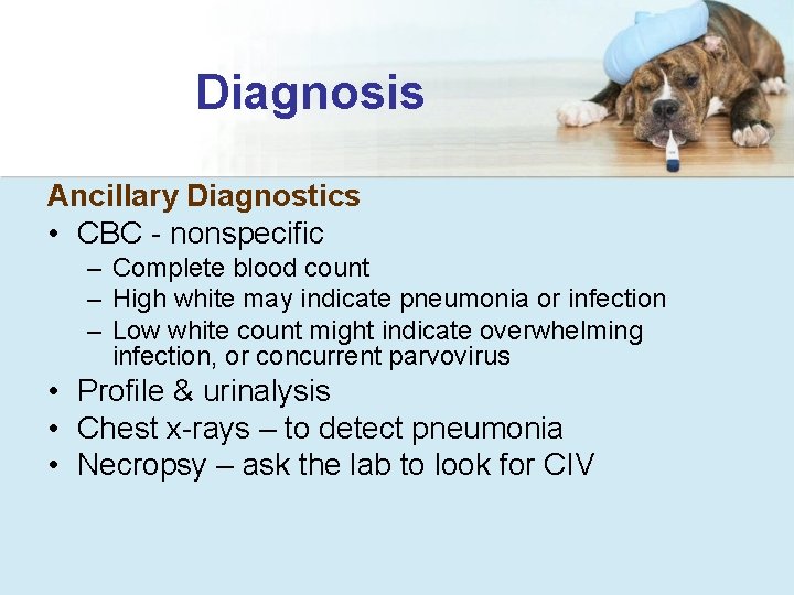 Diagnosis Ancillary Diagnostics • CBC - nonspecific – Complete blood count – High white