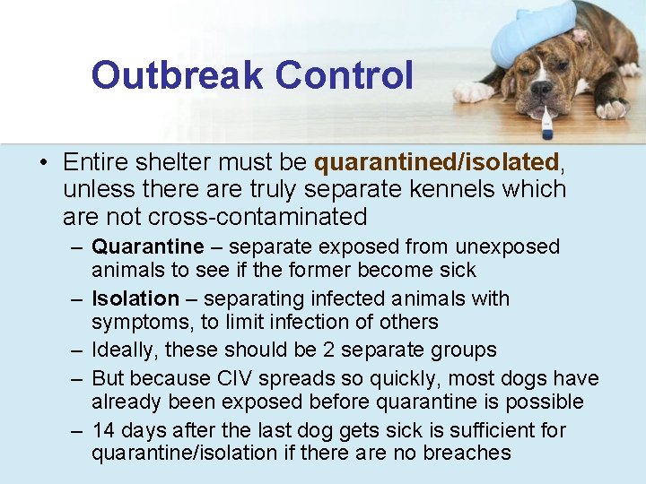 Outbreak Control • Entire shelter must be quarantined/isolated, unless there are truly separate kennels