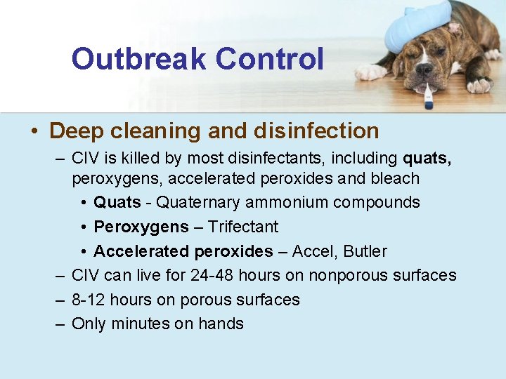 Outbreak Control • Deep cleaning and disinfection – CIV is killed by most disinfectants,