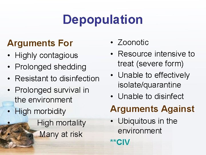 Depopulation Arguments For • • Highly contagious Prolonged shedding Resistant to disinfection Prolonged survival