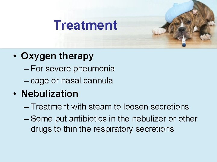 Treatment • Oxygen therapy – For severe pneumonia – cage or nasal cannula •