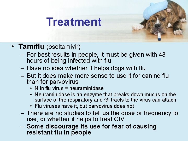 Treatment • Tamiflu (oseltamivir) – For best results in people, it must be given