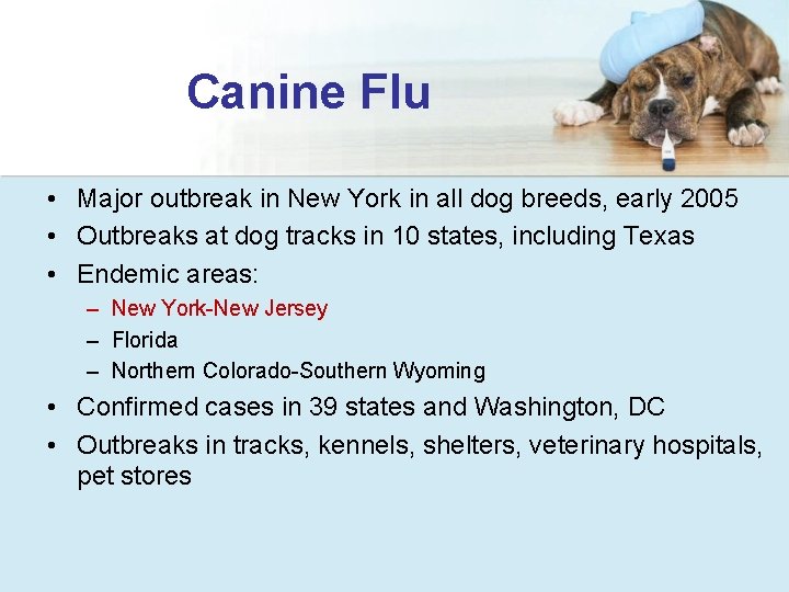 Canine Flu • Major outbreak in New York in all dog breeds, early 2005