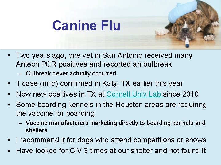 Canine Flu • Two years ago, one vet in San Antonio received many Antech