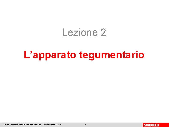 Lezione 2 L’apparato tegumentario Cristina Cavazzuti, Daniela Damiano, Biologia, Zanichelli editore 2019 16 