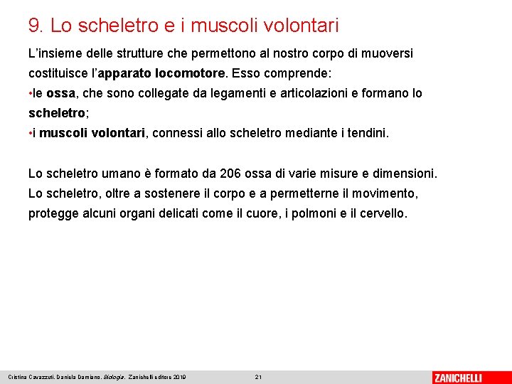 9. Lo scheletro e i muscoli volontari L’insieme delle strutture che permettono al nostro