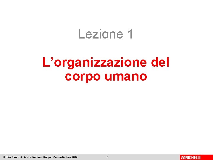 Lezione 1 L’organizzazione del corpo umano Cristina Cavazzuti, Daniela Damiano, Biologia, Zanichelli editore 2019