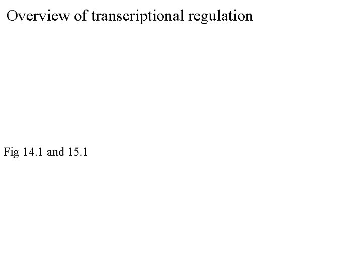 Overview of transcriptional regulation Fig 14. 1 and 15. 1 