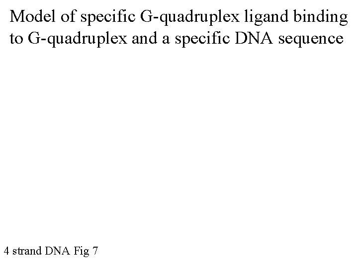 Model of specific G-quadruplex ligand binding to G-quadruplex and a specific DNA sequence 4