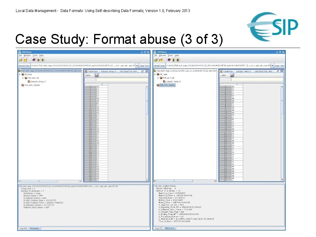 Local Data Management - Data Formats: Using Self-describing Data Formats; Version 1. 0, February