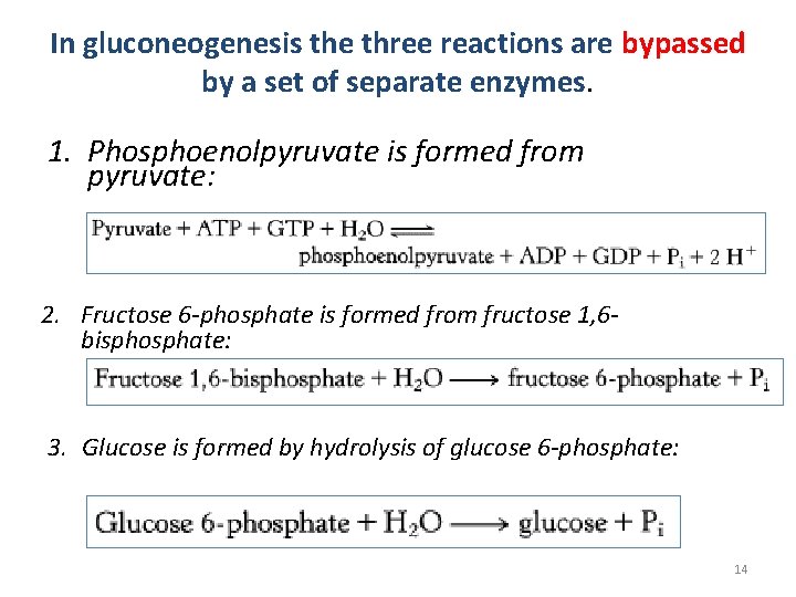 In gluconeogenesis the three reactions are bypassed by a set of separate enzymes. 1.