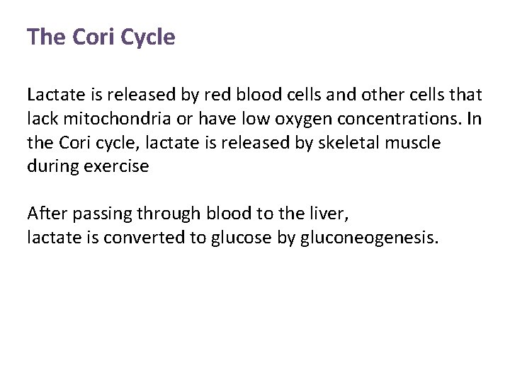 The Cori Cycle Lactate is released by red blood cells and other cells that