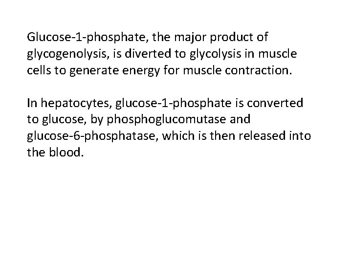 Glucose-1 -phosphate, the major product of glycogenolysis, is diverted to glycolysis in muscle cells