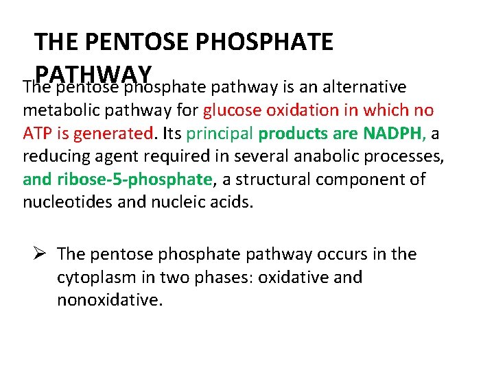 THE PENTOSE PHOSPHATE PATHWAY The pentose phosphate pathway is an alternative metabolic pathway for