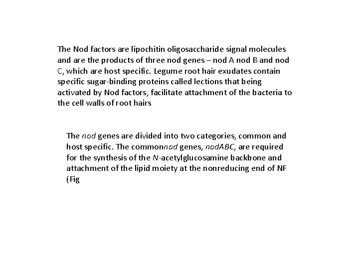 The Nod factors are lipochitin oligosaccharide signal molecules and are the products of three
