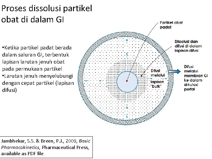 Proses dissolusi partikel obat di dalam GI • Ketika partikel padat berada dalam saluran