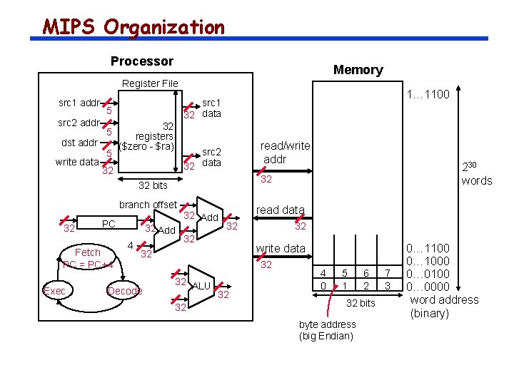 MIPS Organization Processor Memory Register File src 1 addr src 2 addr dst addr