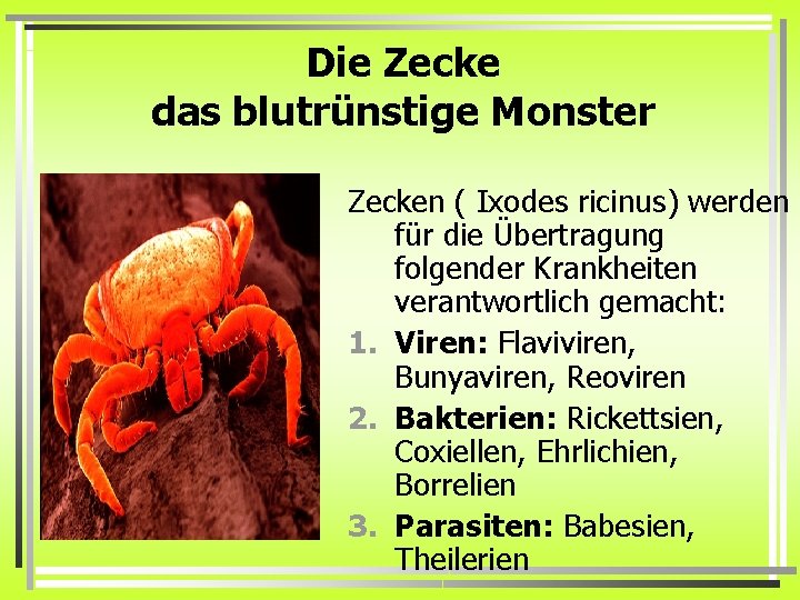 Die Zecke das blutrünstige Monster Zecken ( Ixodes ricinus) werden für die Übertragung folgender