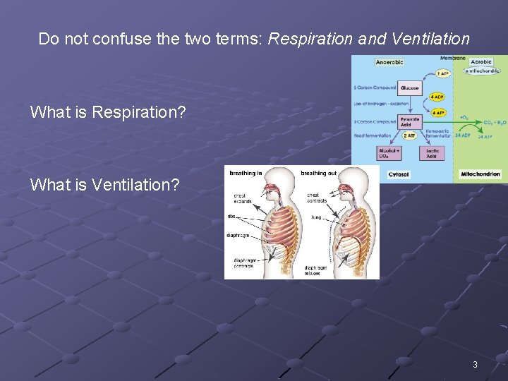 Do not confuse the two terms: Respiration and Ventilation What is Respiration? What is