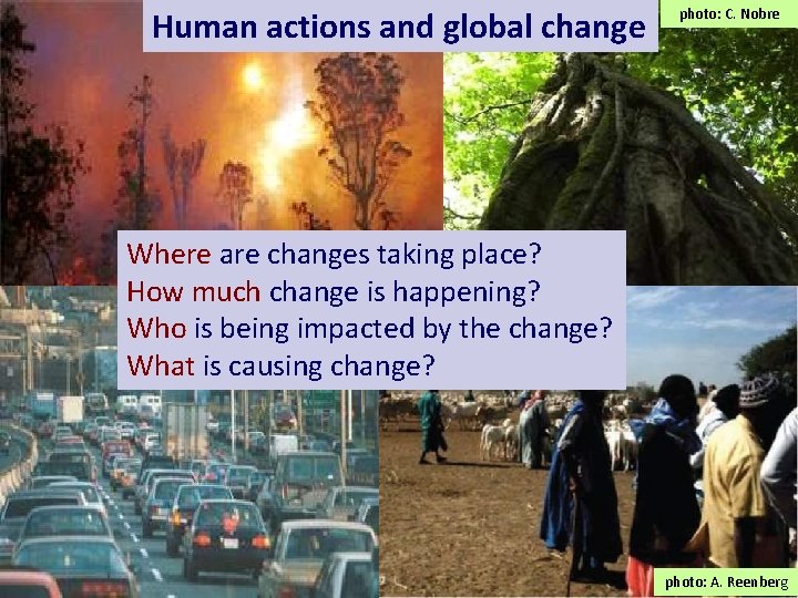 Human actions and global change photo: C. Nobre Global Change Where are changes taking