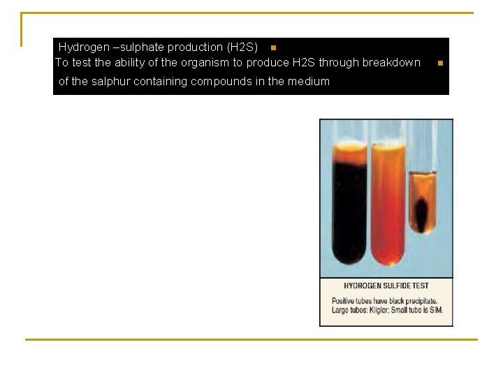 Hydrogen –sulphate production (H 2 S) n To test the ability of the organism