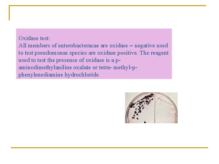 Oxidase test: All members of enterobacteracae are oxidase – negative used to test pseudomonas