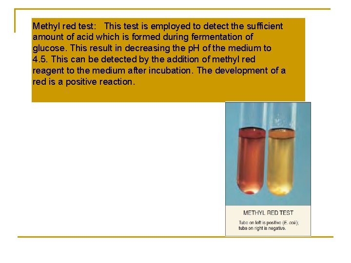 Methyl red test: This test is employed to detect the sufficient amount of acid