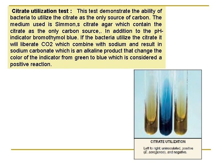 Citrate utilization test : This test demonstrate the ability of bacteria to utilize the