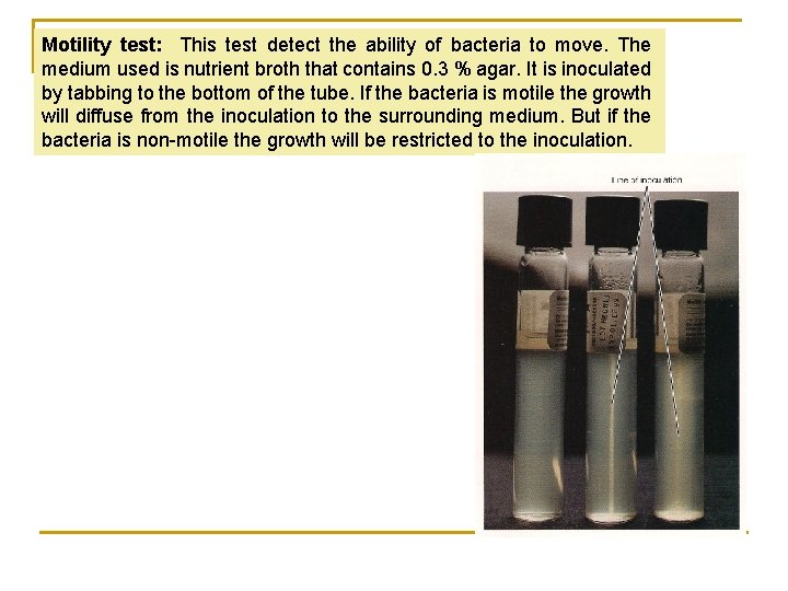 Motility test: This test detect the ability of bacteria to move. The medium used