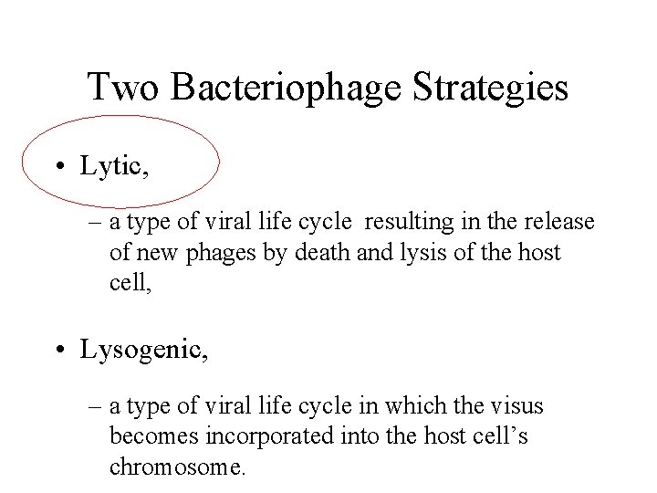 Two Bacteriophage Strategies • Lytic, – a type of viral life cycle resulting in