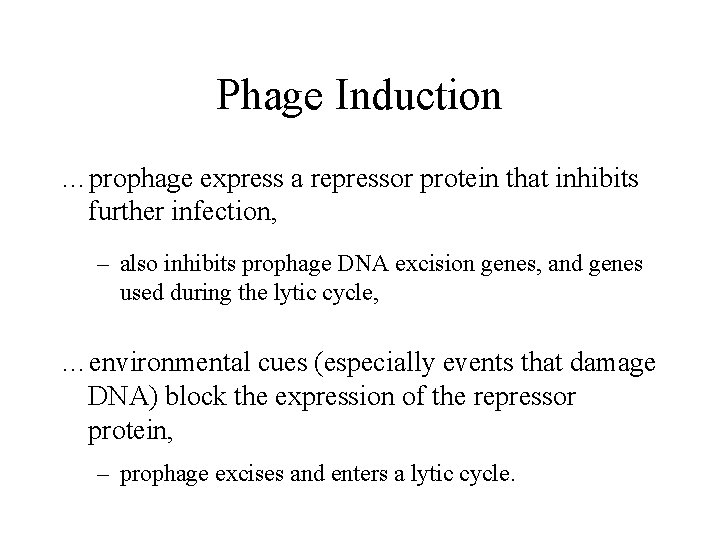 Phage Induction …prophage express a repressor protein that inhibits further infection, – also inhibits