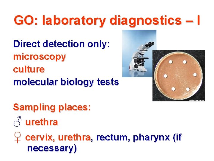 GO: laboratory diagnostics – I Direct detection only: microscopy culture molecular biology tests Sampling