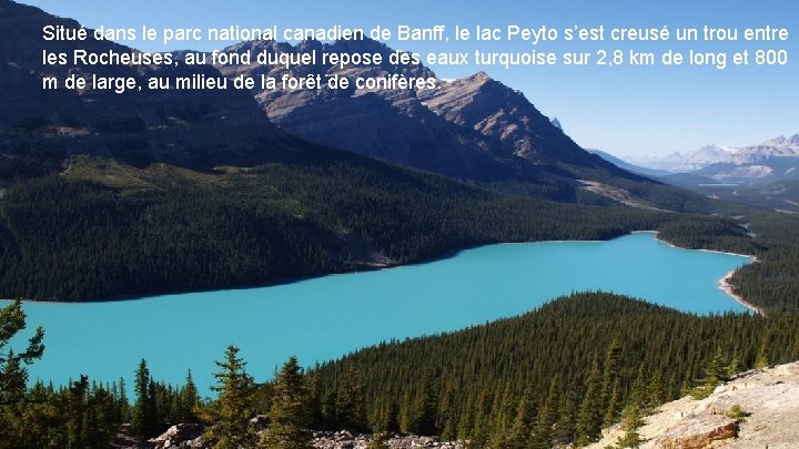 Situé dans le parc national canadien de Banff, le lac Peyto s’est creusé un